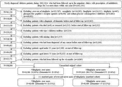 Vildagliptin Has a Neutral Association With Dementia Risk in Type 2 Diabetes Patients